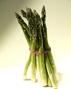 竹笋高清图片免费下载指南 探索编号15418405的魅力